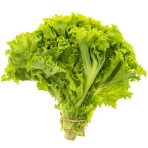 lettuce