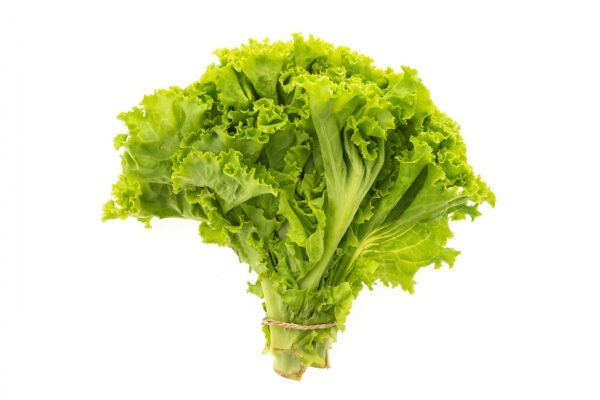 lettuce